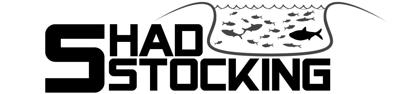 Shad Stocking LLC